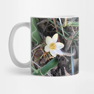 Pale Yellow Crocus Mug